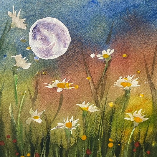 Daisy moon - Fine art print