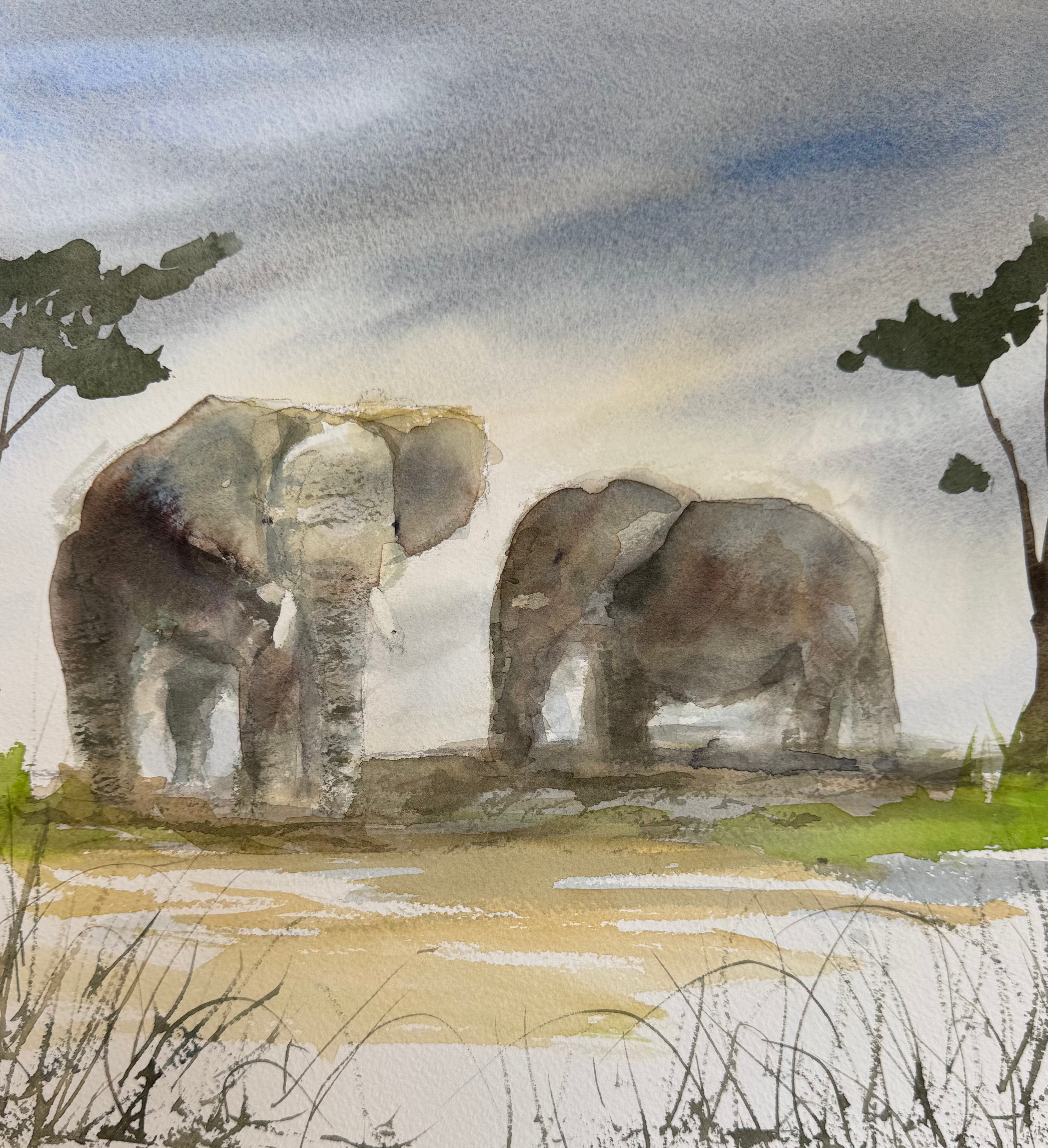 Animals