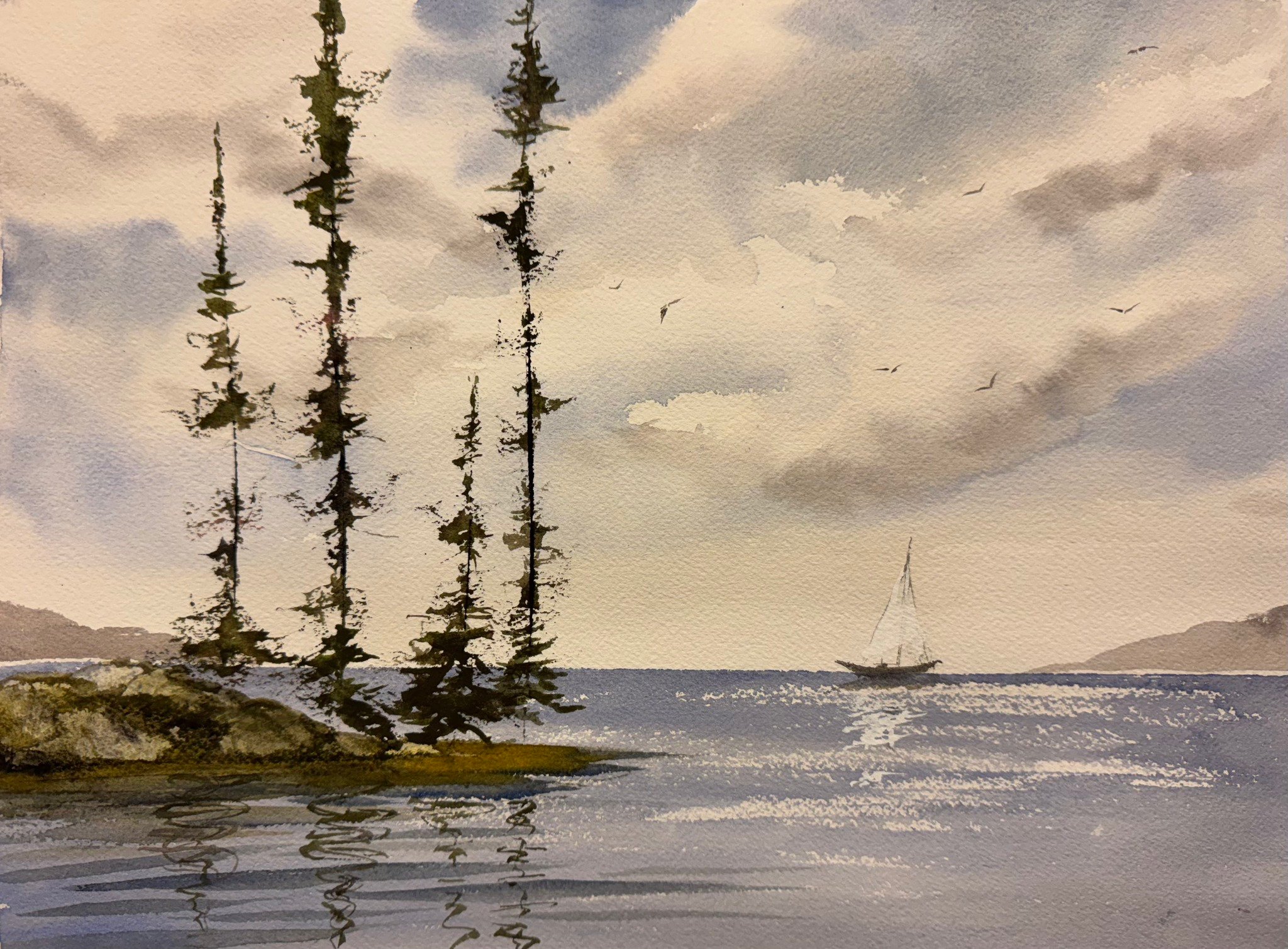 Björkar vid havet