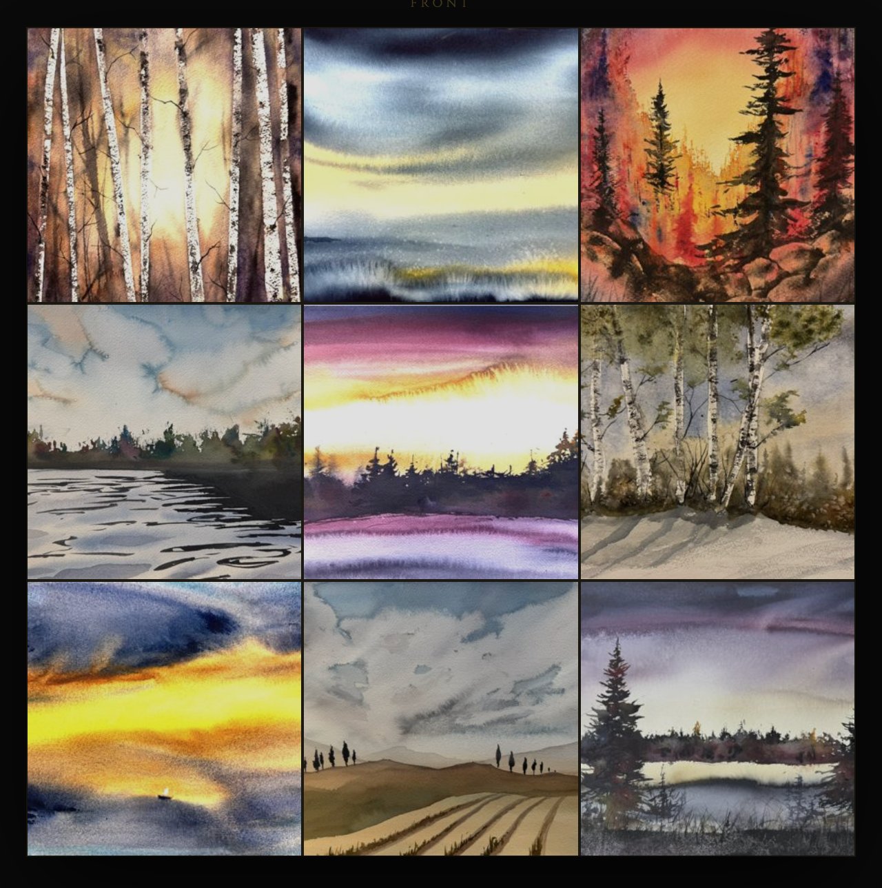Works in the exhibition — watercolours by Zakia Khan