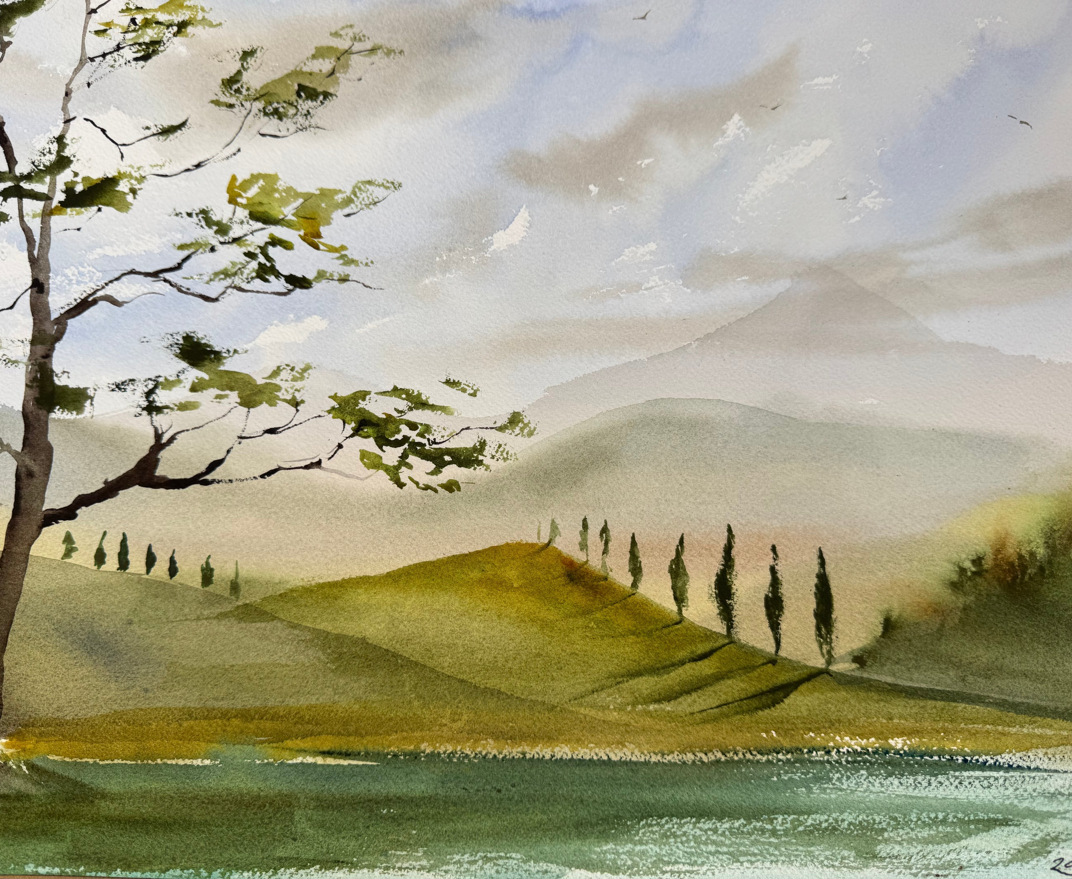 Lucca XI