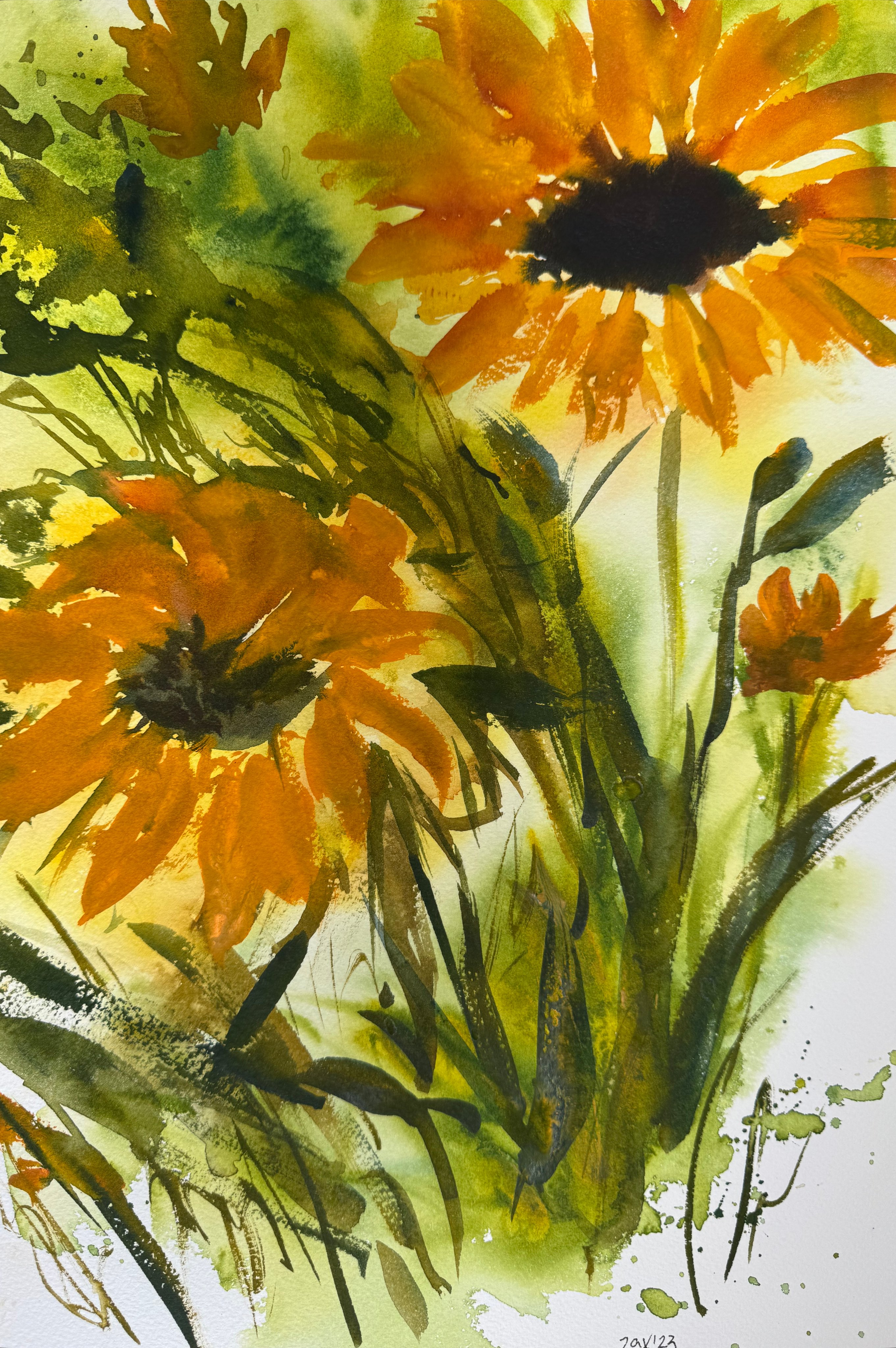 Nature XVI