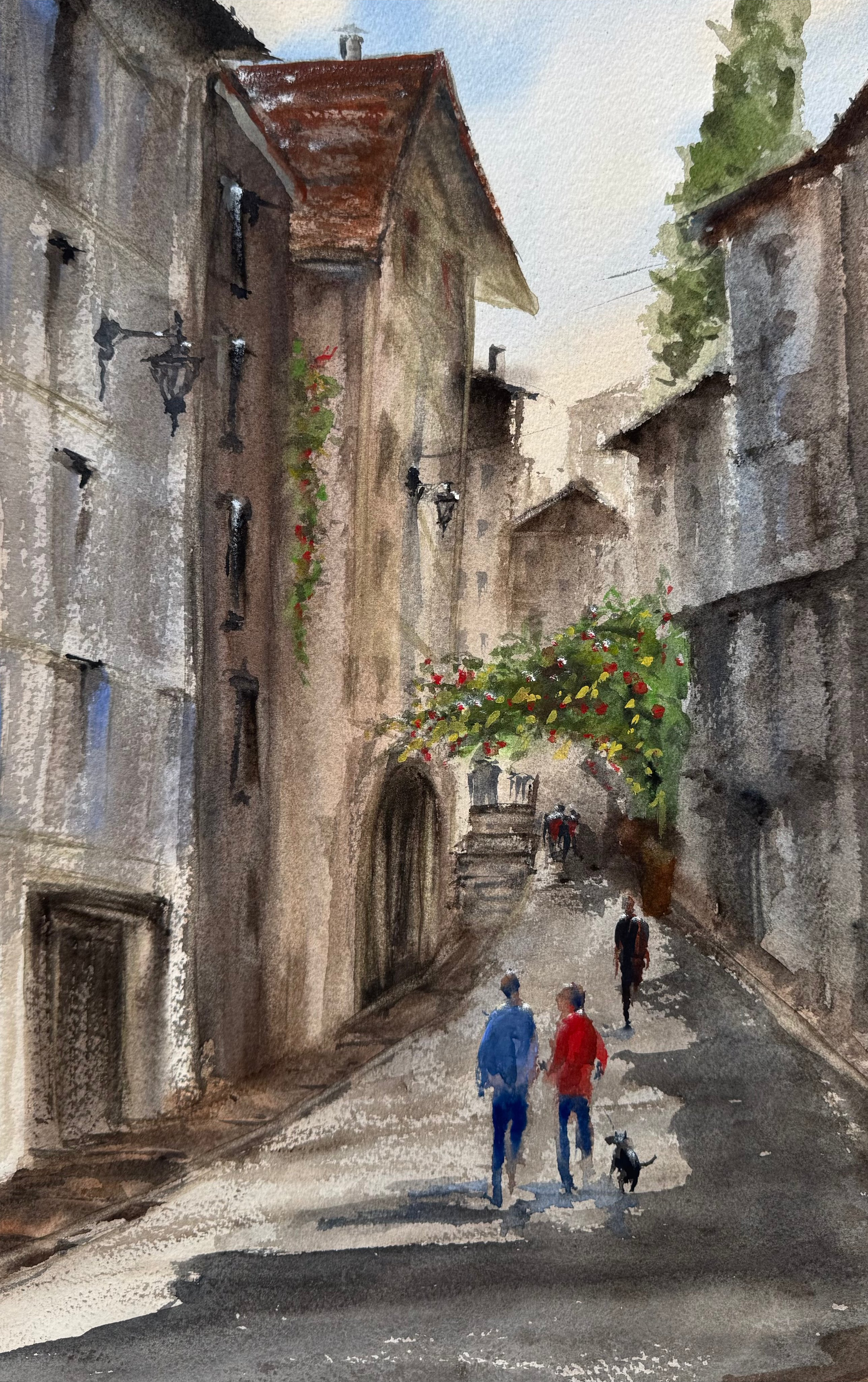 Provence IV