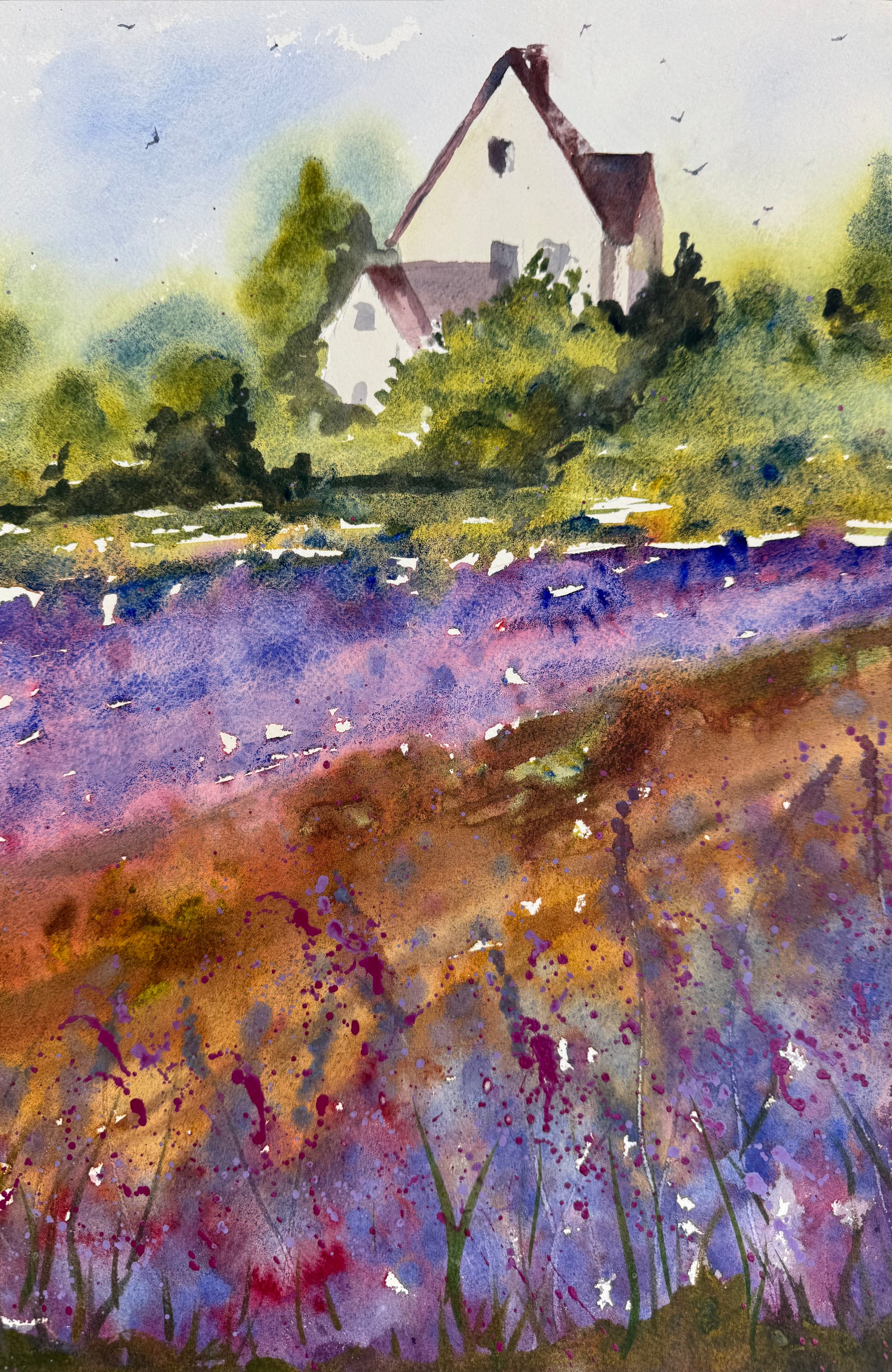 Provence