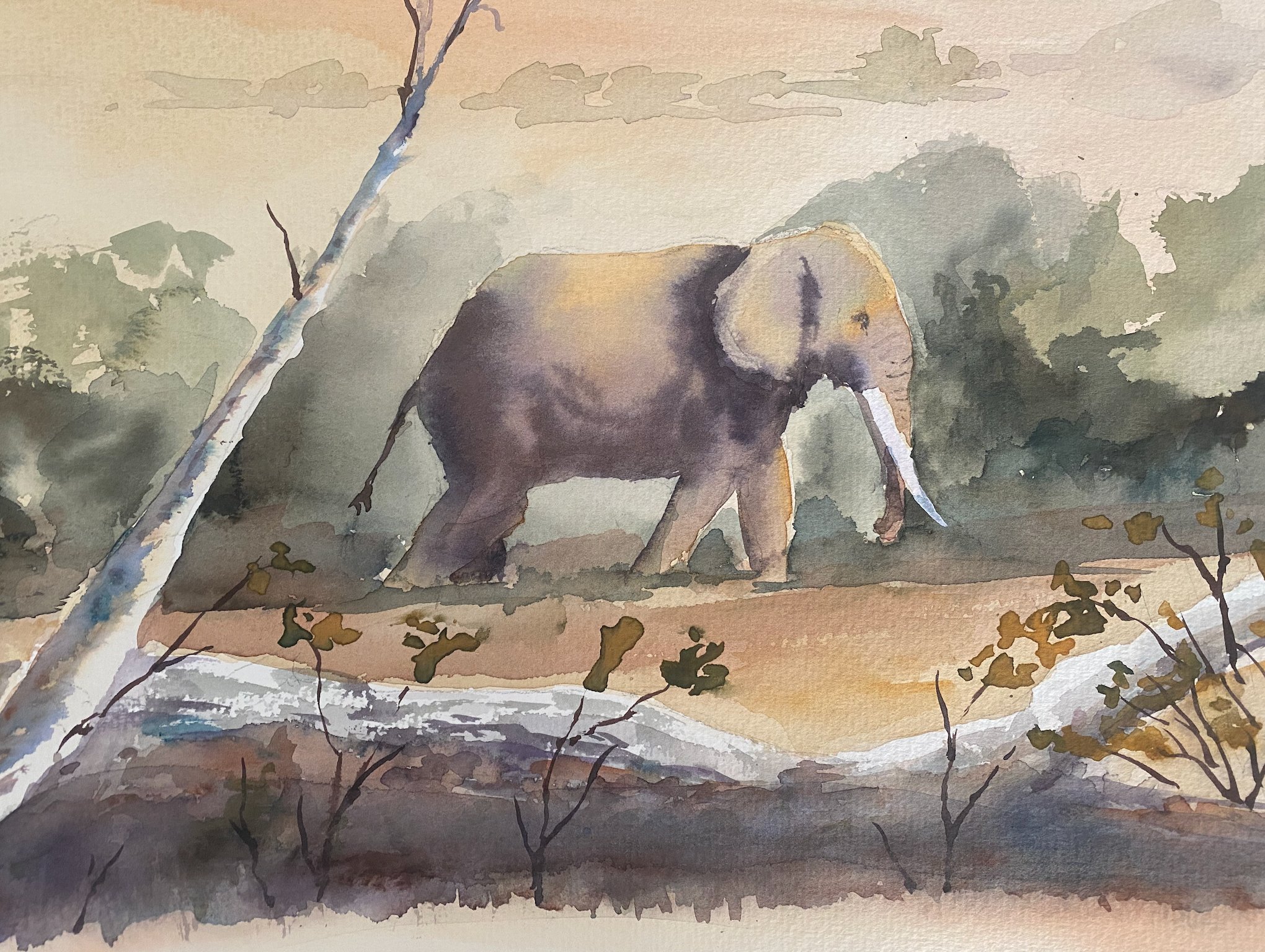 Elephant in the Savanna — sold watercolour by Zakia Khan